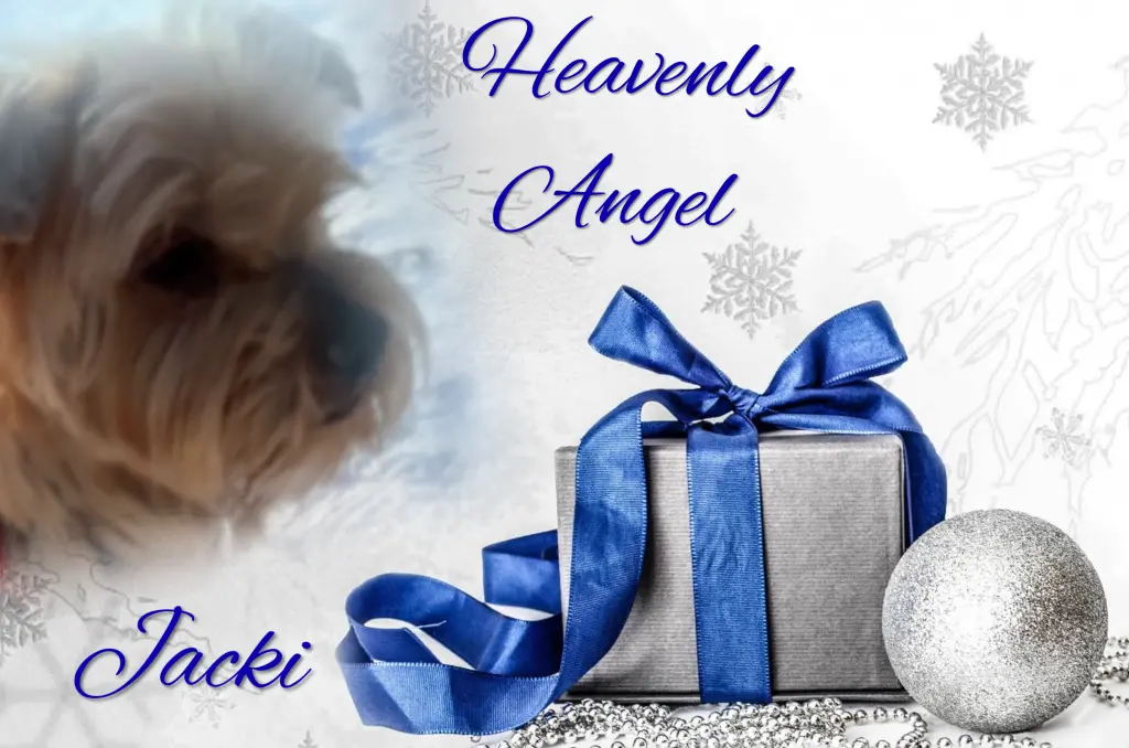 Condolence image of 59Wochen.... Sehnsucht ❤️