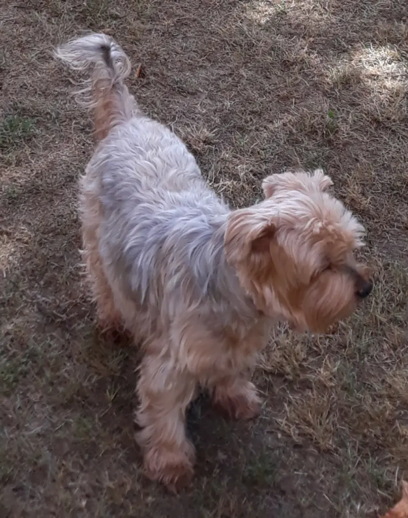 Condolence image of Jacki❤️