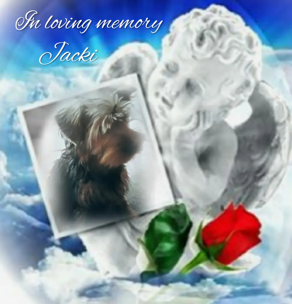 Condolence image of ❤️In loving memory❤️