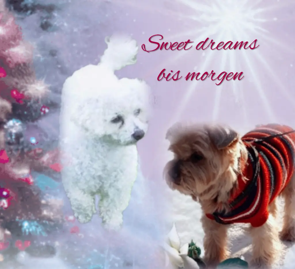 Condolence image of ❤️