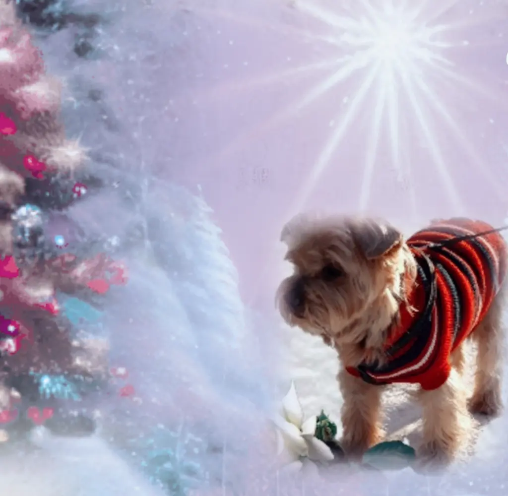 Condolence image of ♥️