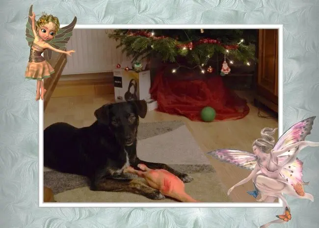 Condolence image of Helmut