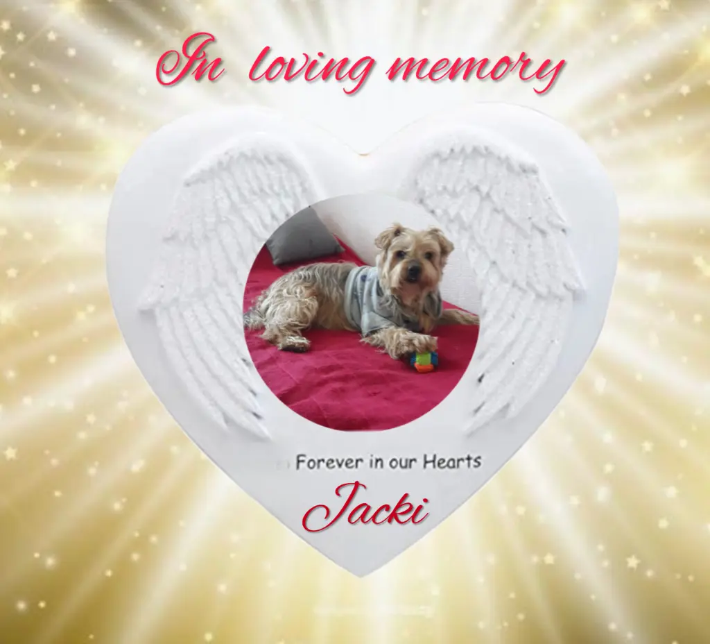 Condolence image of Sonntag...60 Wochen ohne Dich❤️ lieber Jackuś❤️.....