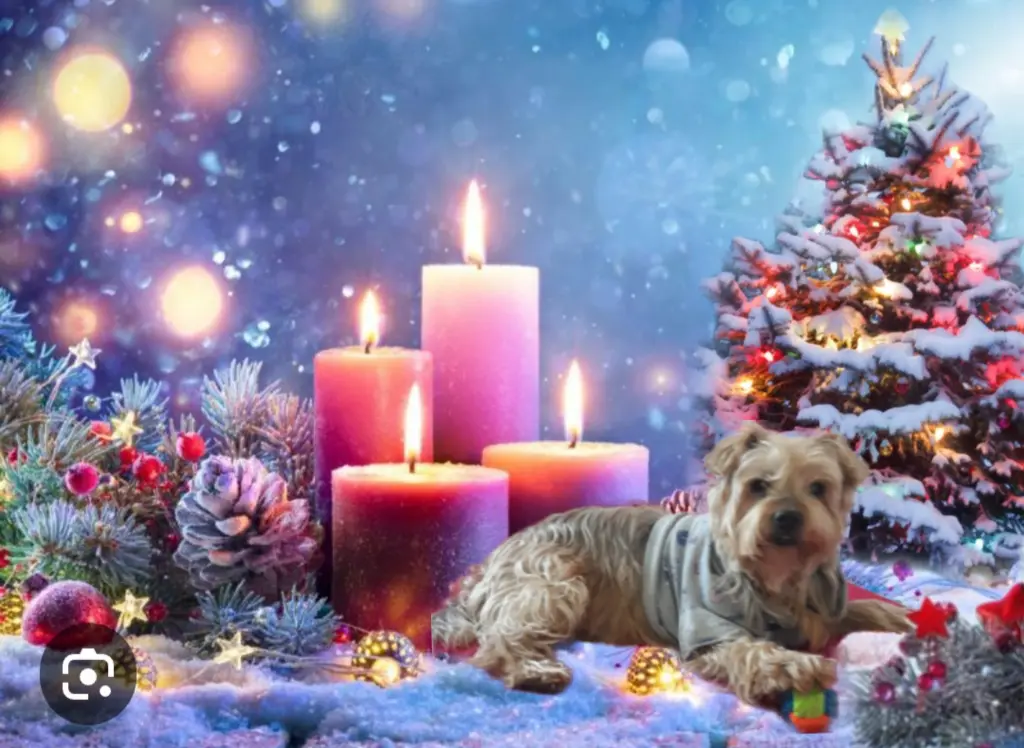 Condolence image of ❤️4. Advent❤️