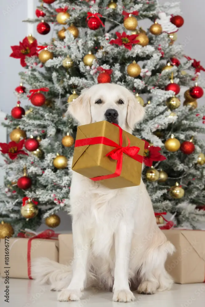 Condolence image of Claudia mit ASKO❤️ 