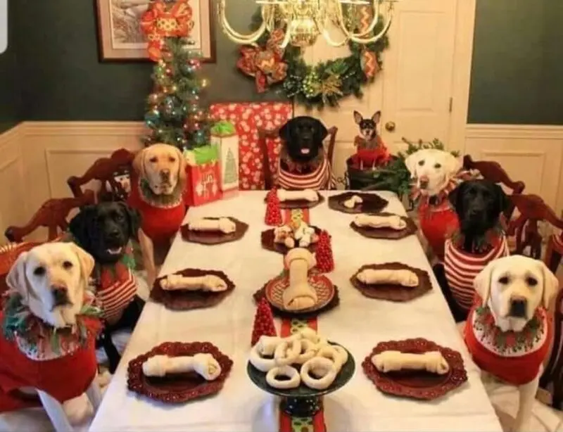 Condolence image of ASKO ❤️ 