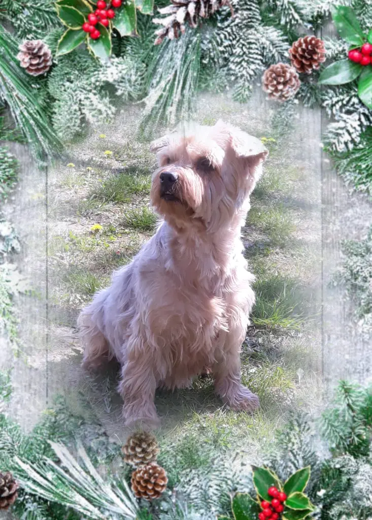 Condolence image of Ewa & Krzysztof 