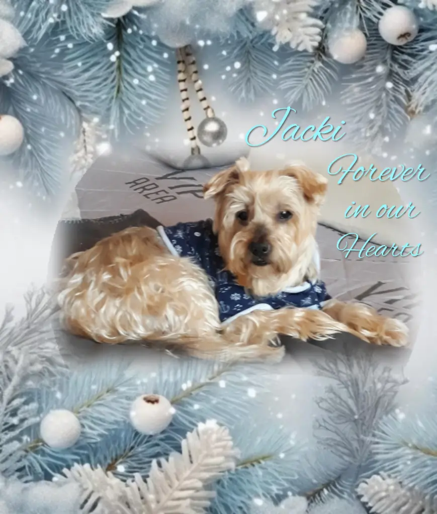 Condolence image of ⭐️❤️Gute Nacht Jackusiu❤️⭐️