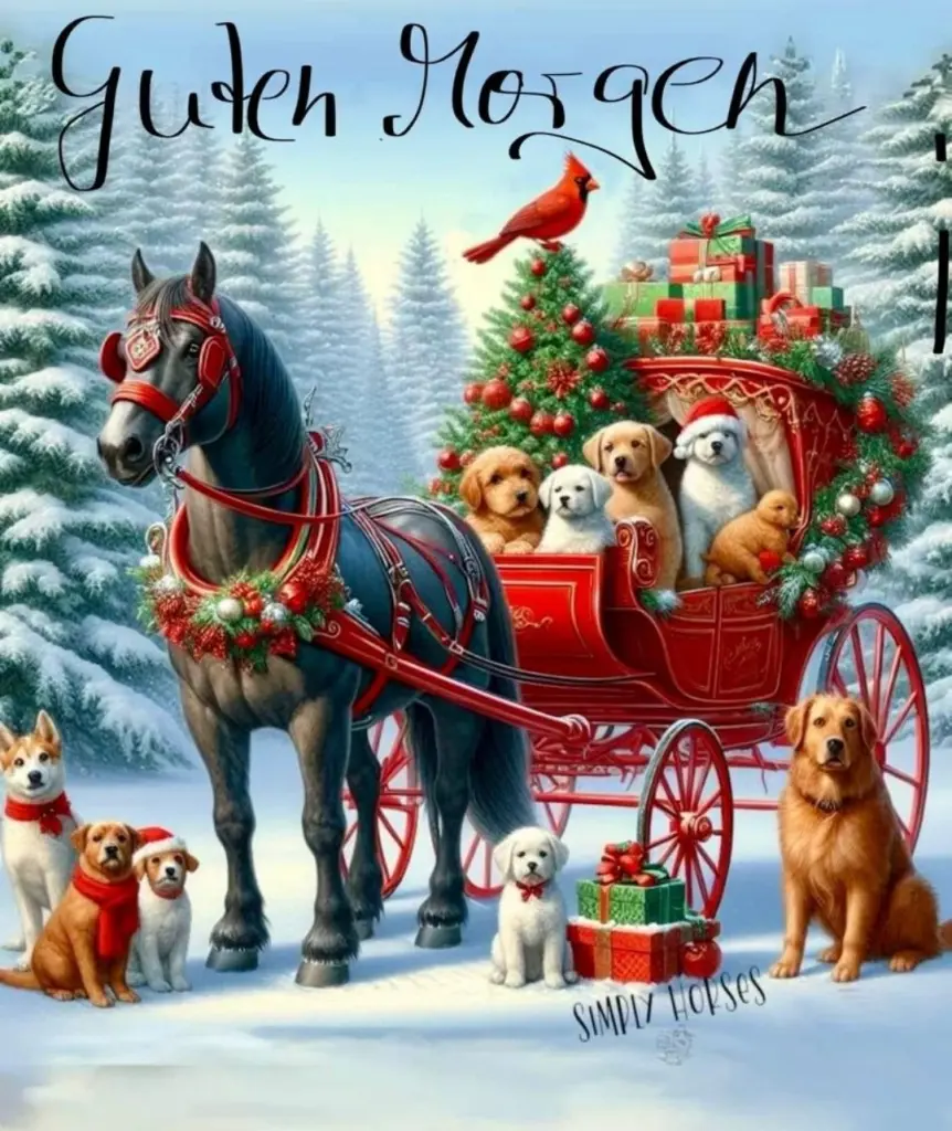 Condolence image of Snowy ❤️