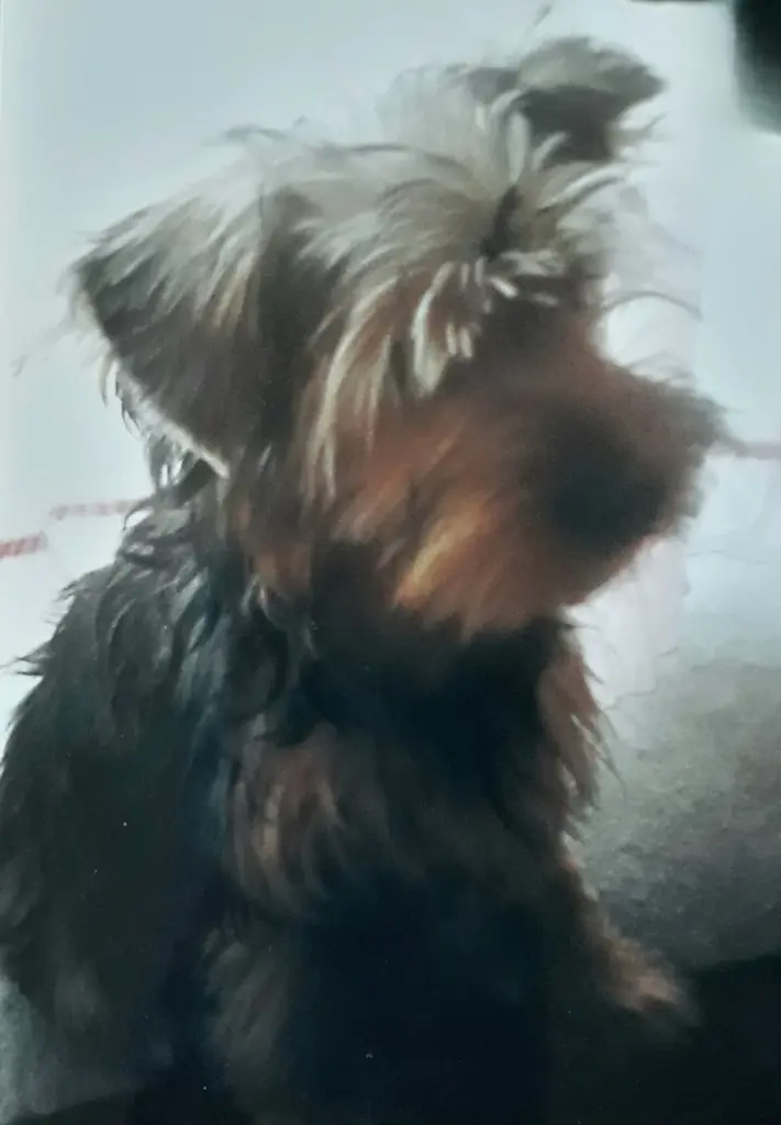 Condolence image of Ewa & Krzysztof 