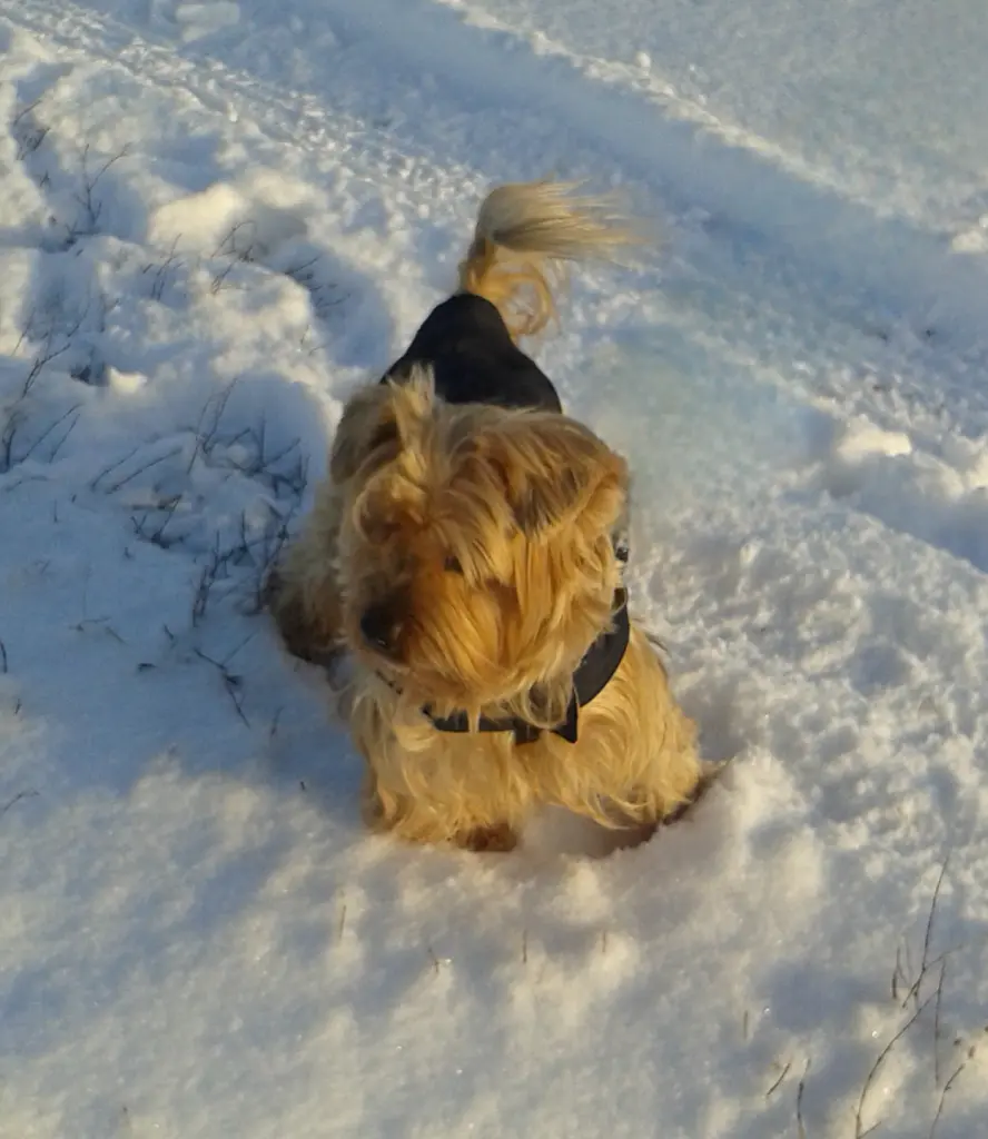Condolence image of Ewa & Krzysztof 