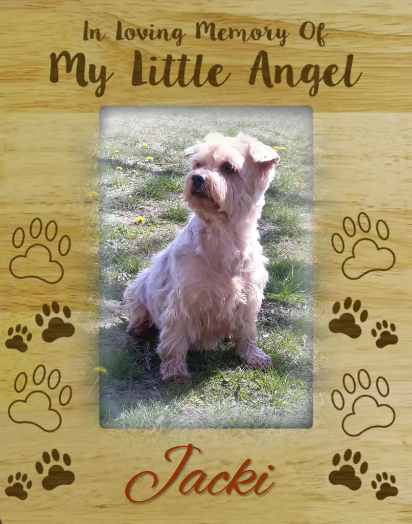 Condolence image of 14 Monate ohne Dich❤️ unser lieber Jackuś❤️...