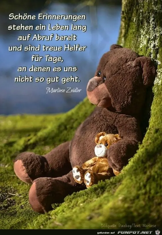 Condolence image of ❤️ ⭐️ ❤️ 14 Monate ohne dich ❤️ ⭐️ ❤️