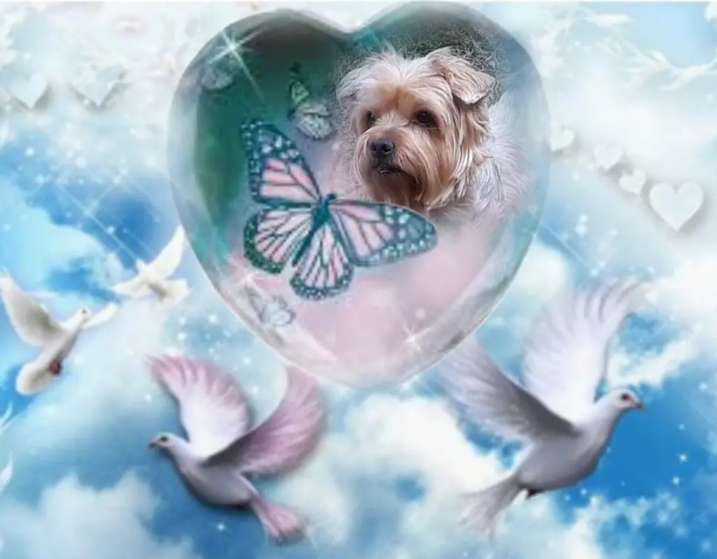 Condolence image of Ewa & Krzysztof 