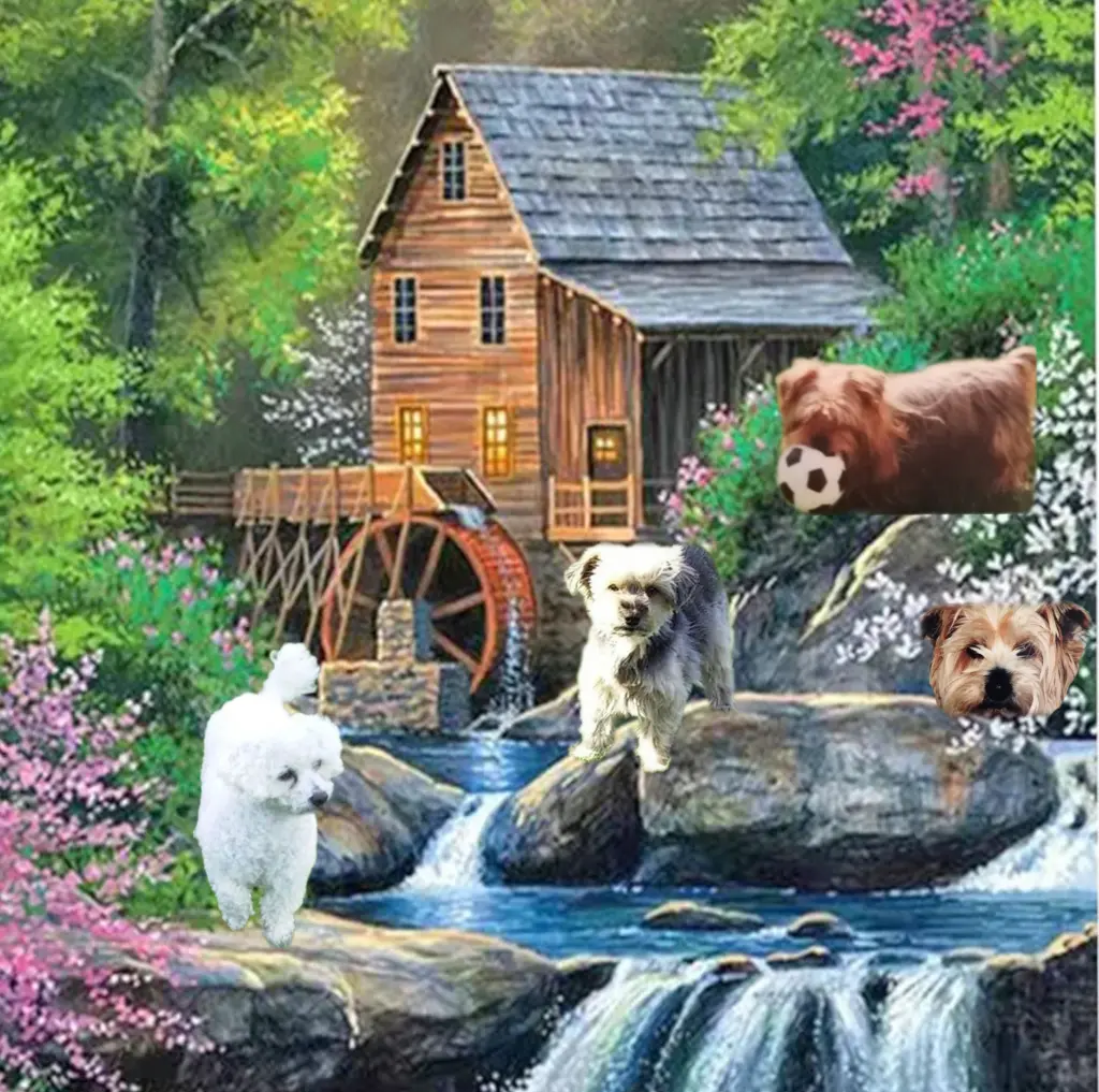 Condolence image of ♥️Bis 2024 ♥️