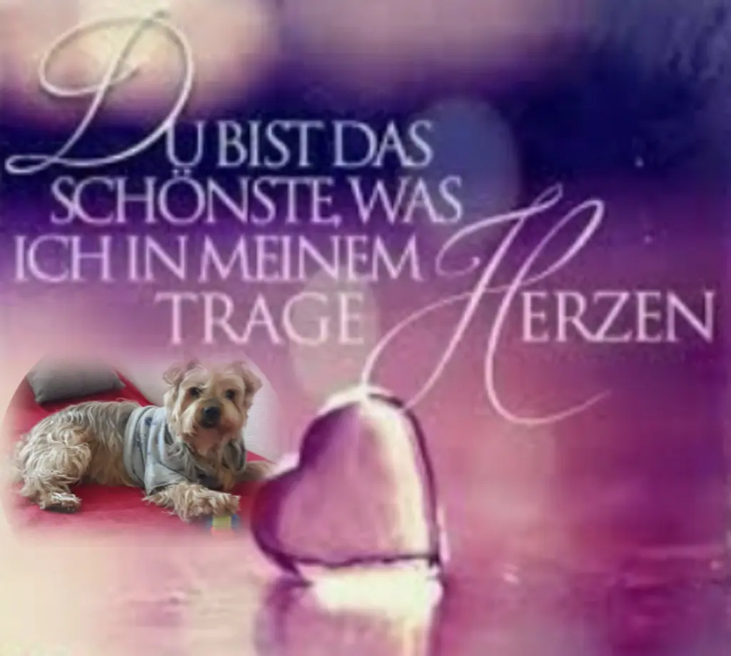 Condolence image of Ewa & Krzysztof 