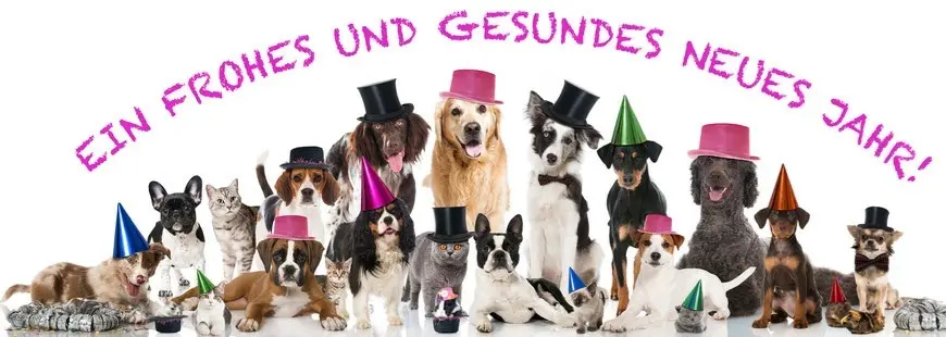 Condolence image of ❤️Happy New Year❤️