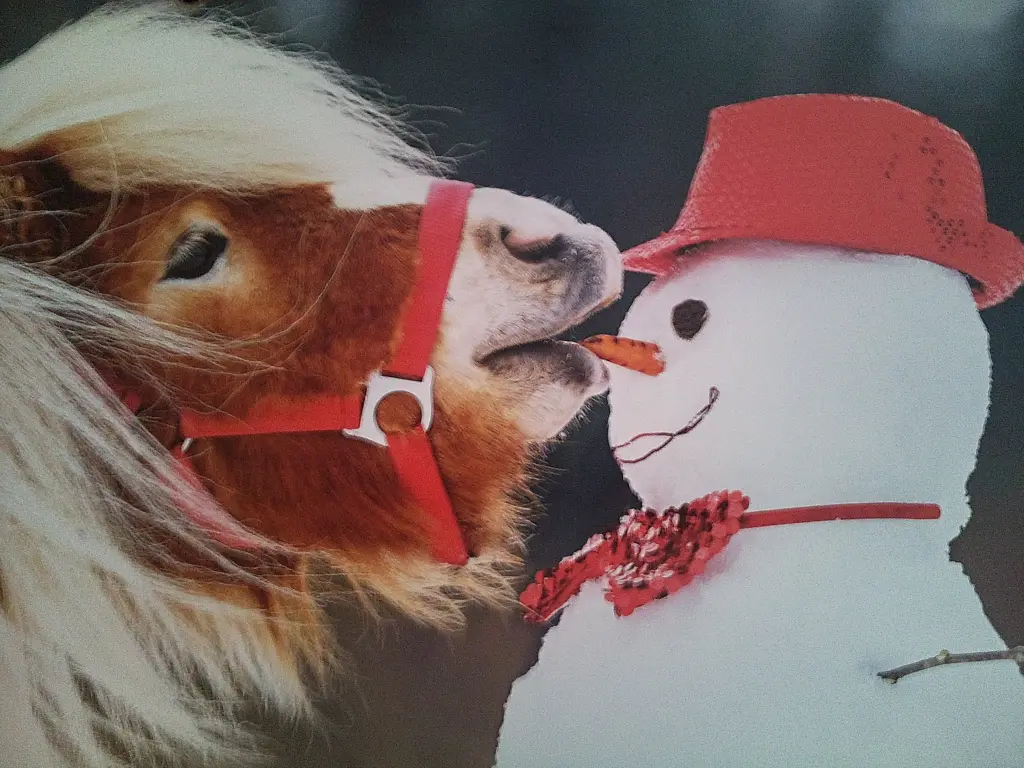 Condolence image of Liebe Neujahrsgrüße