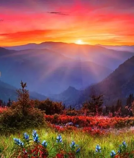 Condolence image of ♥️Licht der Liebe ❤️