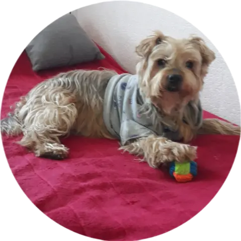 Condolence image of Ewa & Krzysztof 