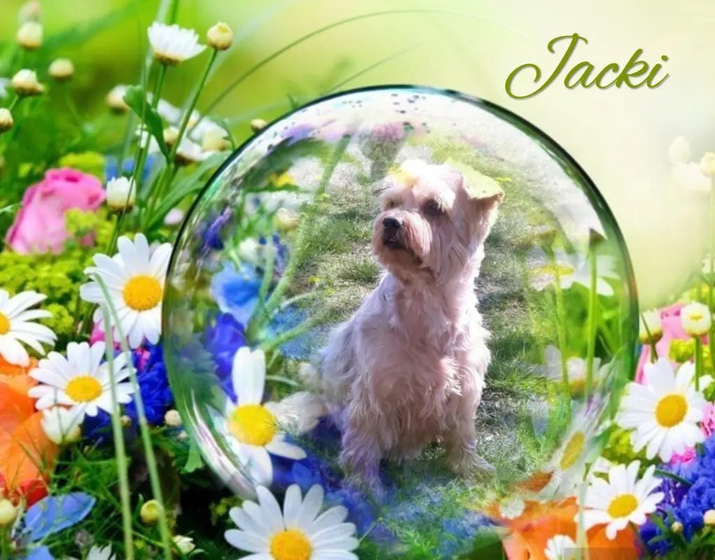 Condolence image of ❤️Immer im Herzen ❤️