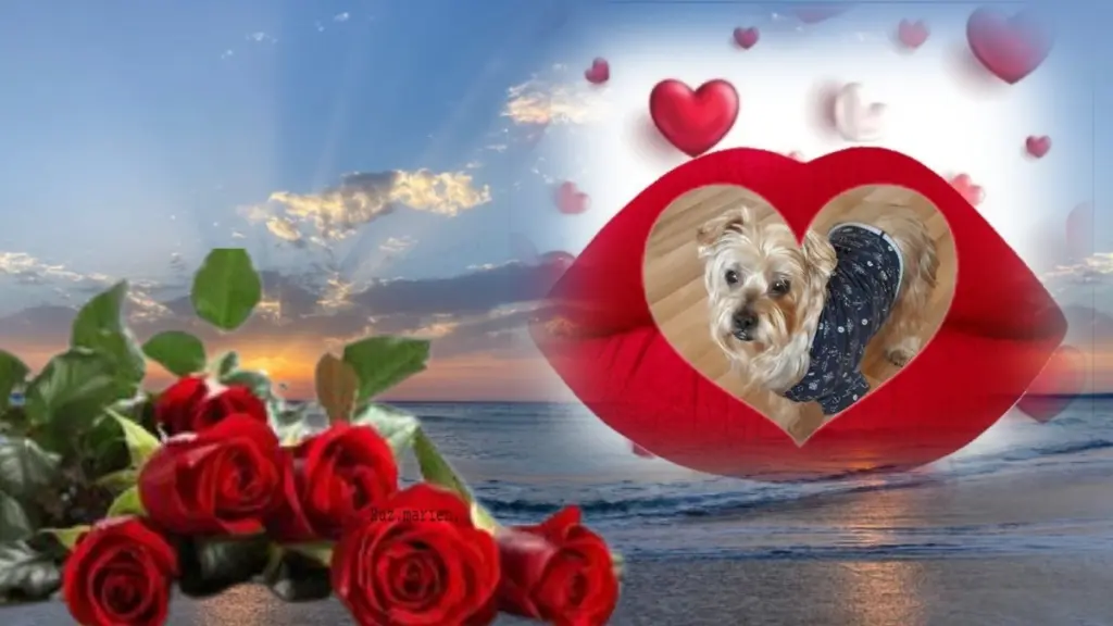 Condolence image of 62 Tygodnie Bez Ciebie❤️⭐️Ukochany❤️❤️❤️❤️❤️❤️❤️Jackuniu❤️⭐️