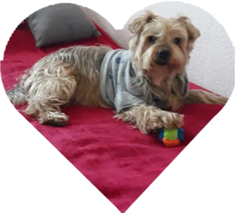 Condolence image of Ewa & Krzysztof 