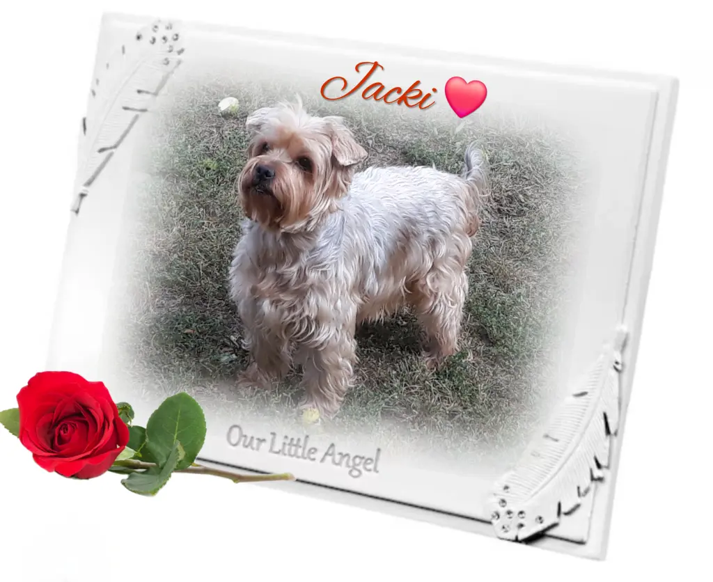 Condolence image of ❤️Immer im Herzen❤️