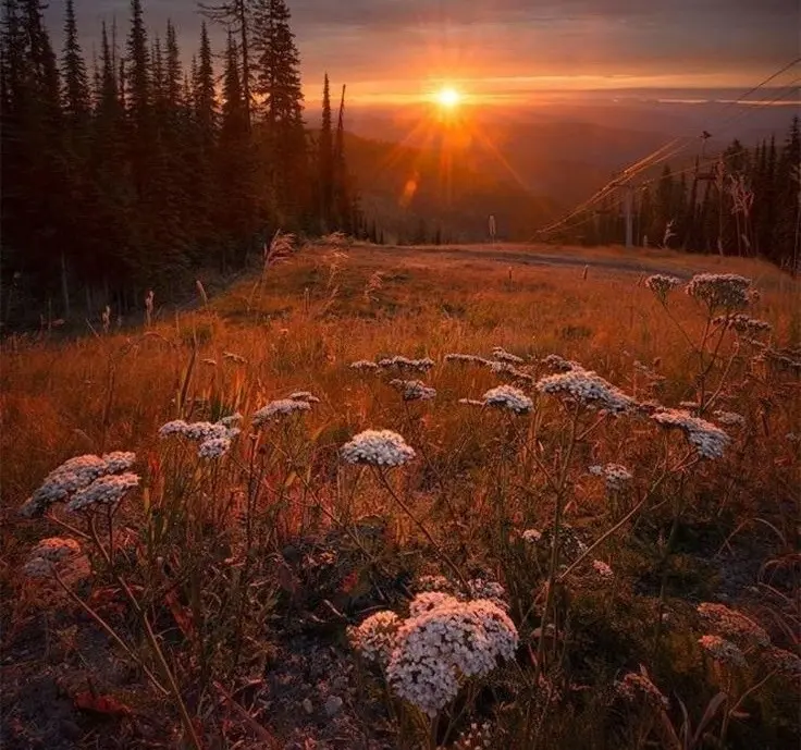 Condolence image of ♥️