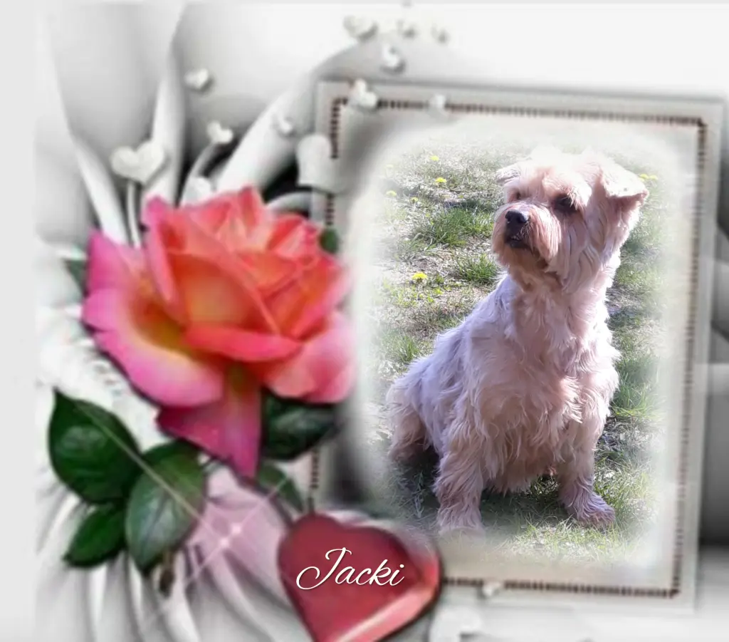 Condolence image of Ewa & Krzysztof 