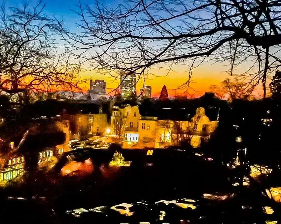 Condolence image of Martina mit Seelenhund Samy ♥️⭐♥️ für immer im Herzen 