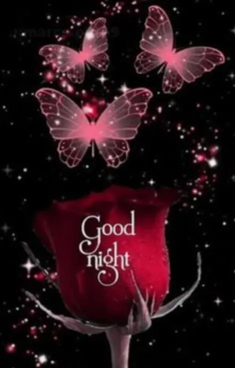 Condolence image of ⭐️❤️Gute Nacht Jackusiu❤️⭐️