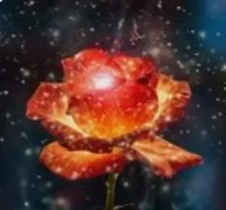 Condolence image of ⭐️❤️Gute Nacht Jackusiu❤️⭐️