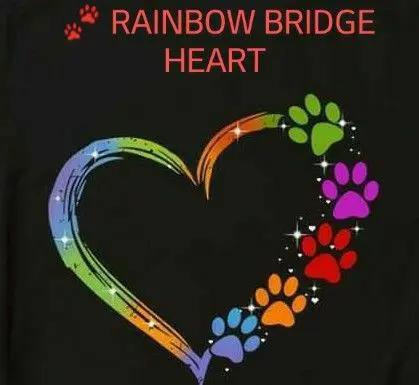 Condolence image of Martina mit Seelenhund Samy ♥️⭐♥️ für immer im Herzen 