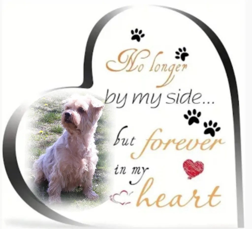 Condolence image of Ewa & Krzysztof 