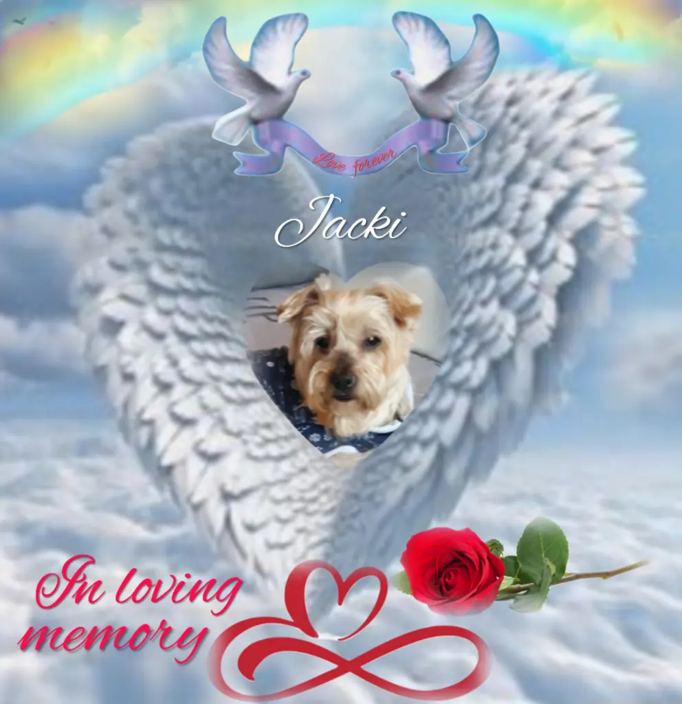 Condolence image of Sonntag...65 Wochen ohne Dich❤️ unser lieber Jackuś❤️...