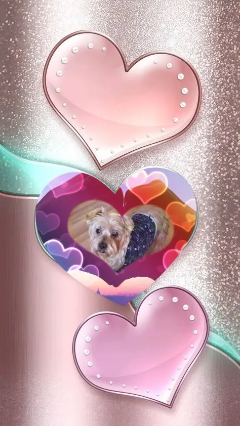 Condolence image of 65 Tygodni Bez Ciebie❤️⭐️Jackusiu❤️⭐️