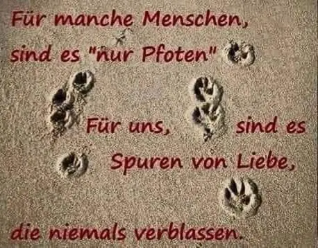 Condolence image of Claudia mit ASKO ❤ 