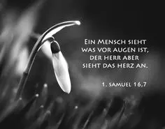 Condolence image of ⭐️Monatsgedenktag⭐️