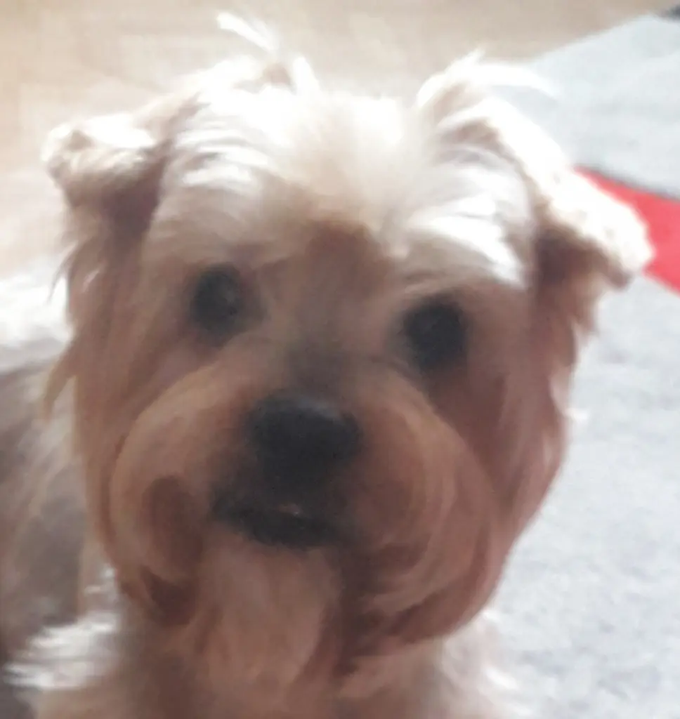 Condolence image of Ewa & Krzysztof 