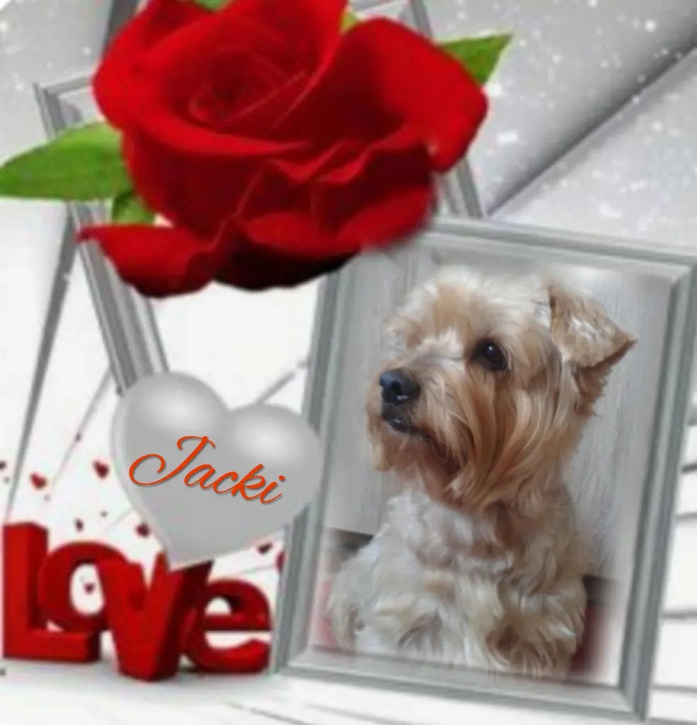 Condolence image of ⭐️❤️Gute Nacht Jackusiu❤️⭐️