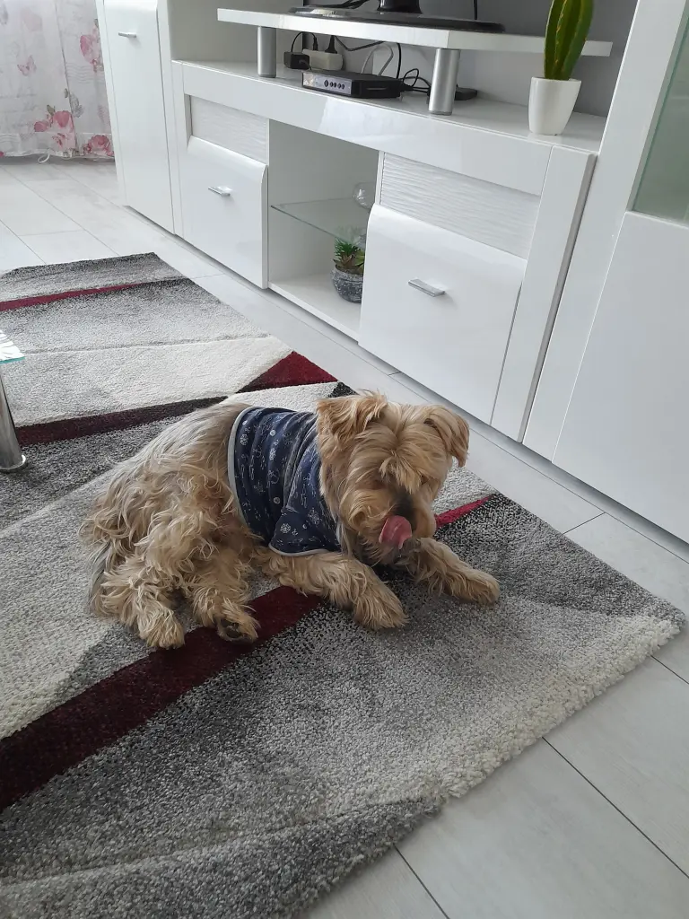 Condolence image of Ewa & Krzysztof 