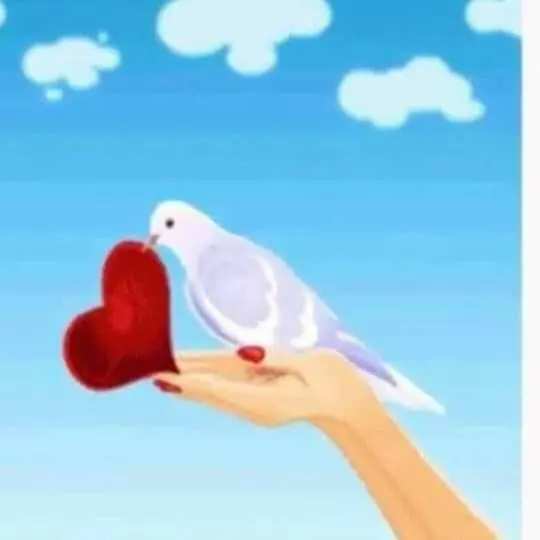 Condolence image of Martina mit Seelenhund Samy ♥️⭐♥️ für immer im Herzen 