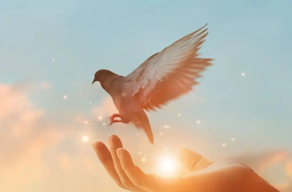 Condolence image of ❤️Wierny przyjaciel❤️