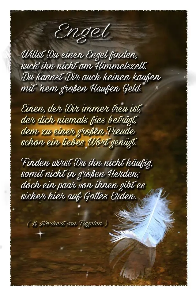 Condolence image of Angelika mit Luna ❤️