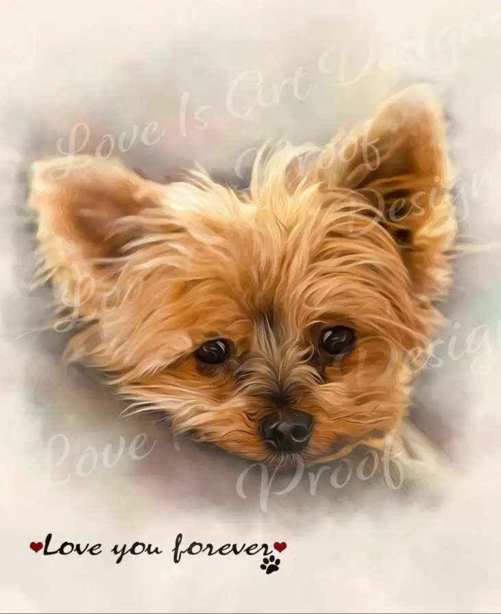 Condolence image of Martina mit Seelenhund Samy ♥️⭐♥️ für immer im Herzen 