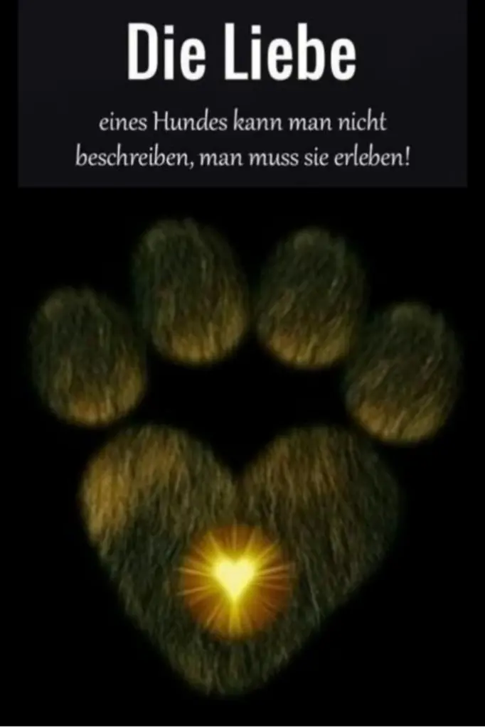 Condolence image of ⭐️❤️Gute Nacht Jackusiu❤️⭐️ 