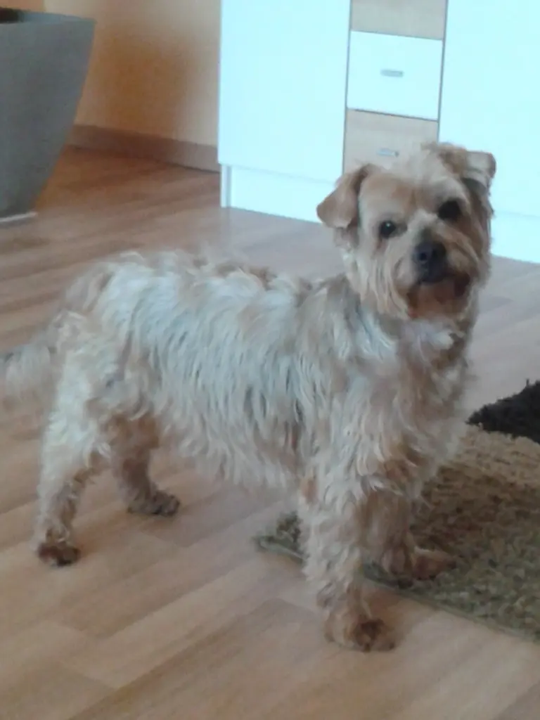 Condolence image of Ewa & Krzysztof 