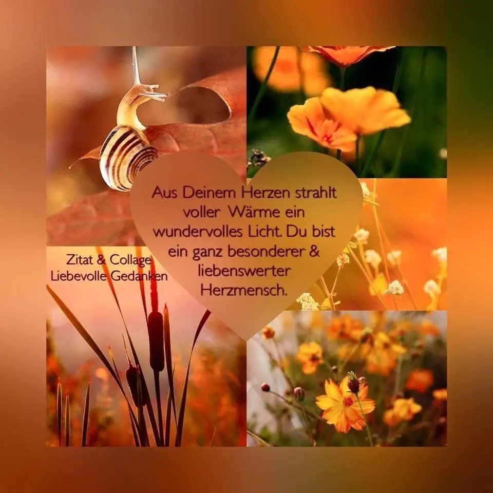 Condolence image of ❤️Wochenende❤️