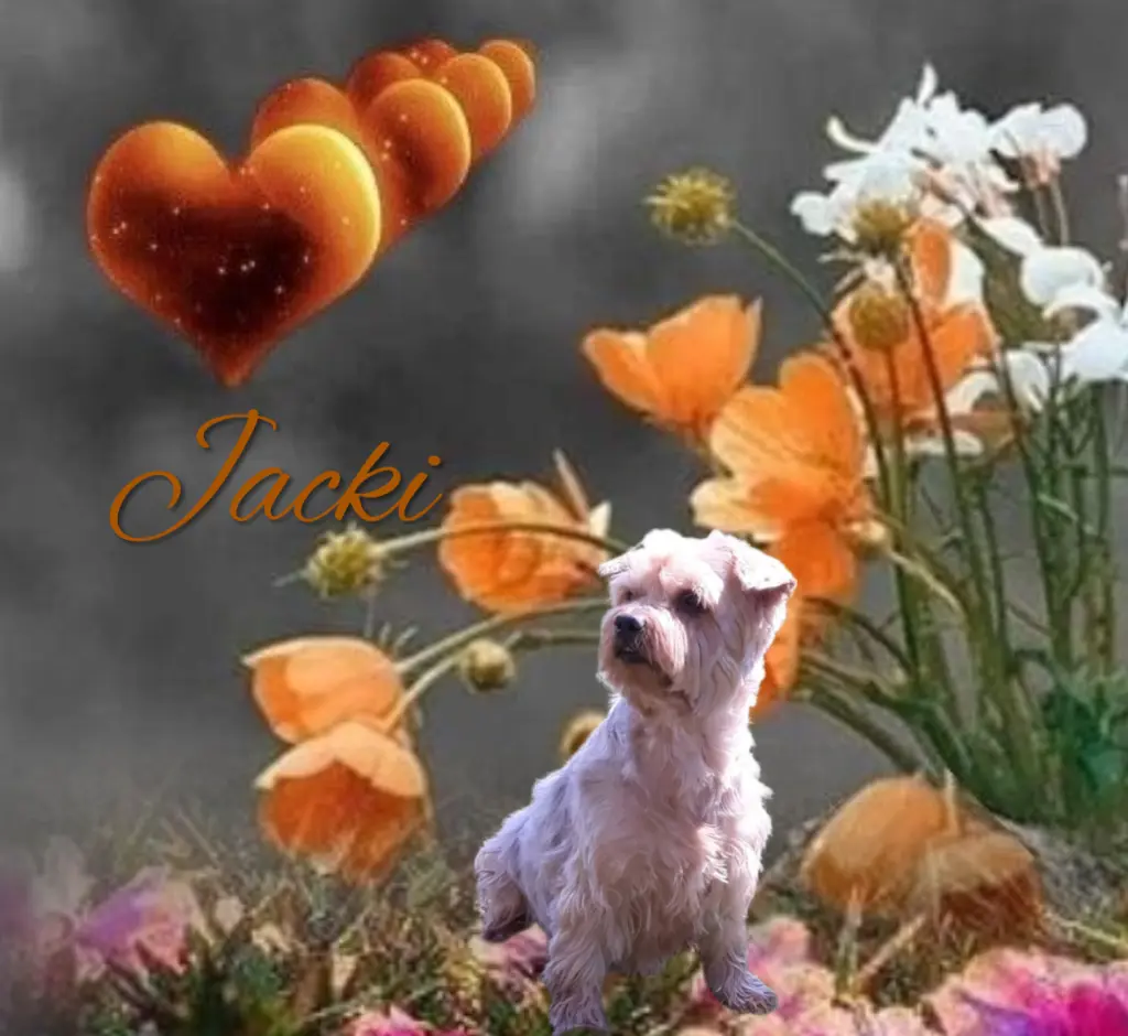 Condolence image of 68 Wochen.... Sehnsucht ❤️